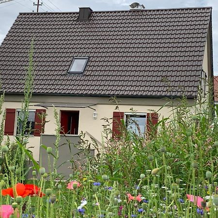 Ferienhaus Bei Lauingen, Mit Sauna Und Gartenlounge Veitriedhausen Luaran gambar