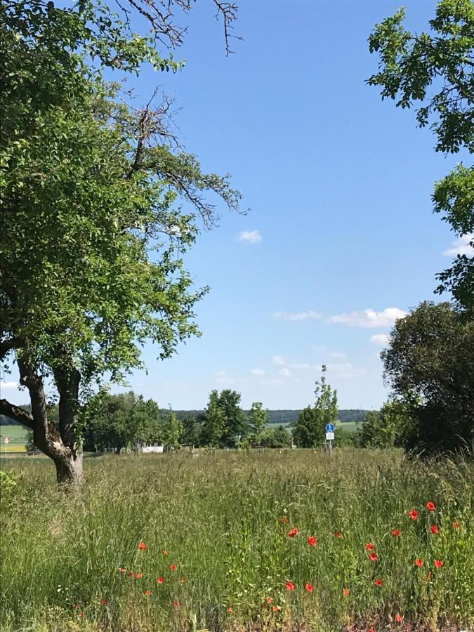 Ferienhaus Bei Lauingen, Mit Sauna Und Gartenlounge Veitriedhausen Luaran gambar