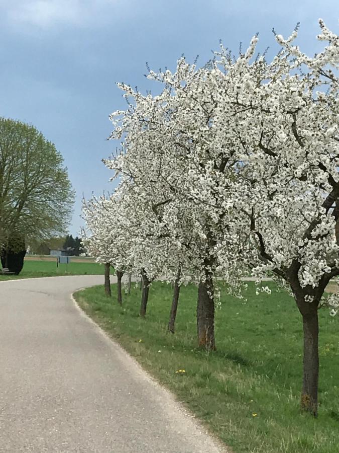 Ferienhaus Bei Lauingen, Mit Sauna Und Gartenlounge Veitriedhausen Luaran gambar