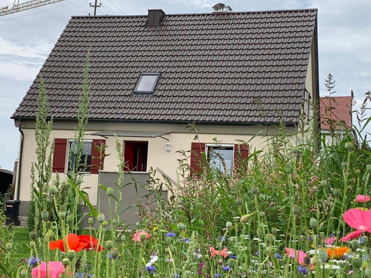 Ferienhaus Bei Lauingen, Mit Sauna Und Gartenlounge Veitriedhausen Luaran gambar